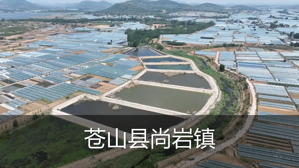 苍山县尚岩镇