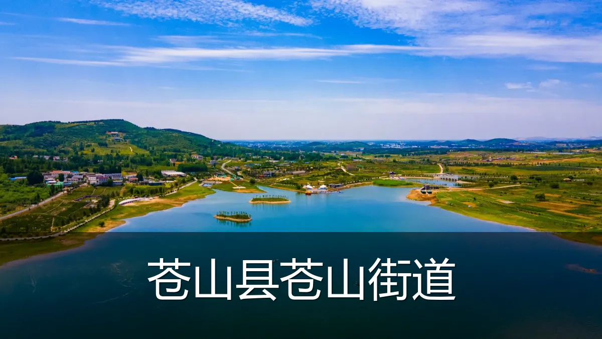 苍山县苍山街道