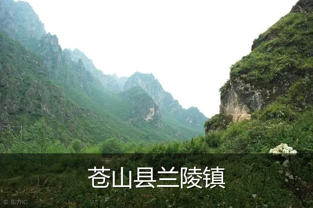 苍山县兰陵镇